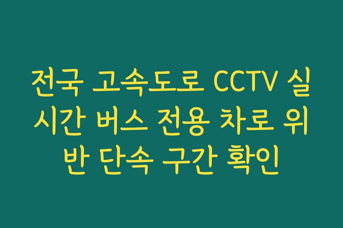 전국 고속도로 CCTV 실시간 버스 전용 차로 위반 단속 구간 확인