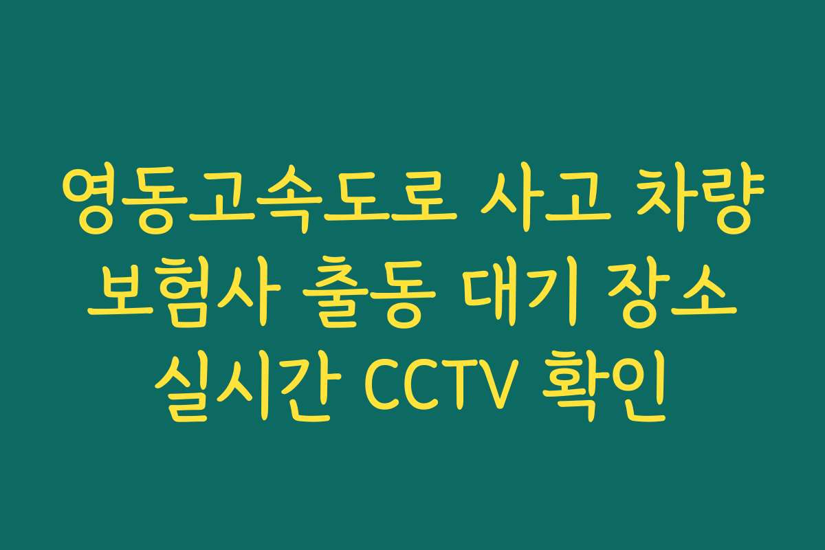 영동고속도로 사고 차량 보험사 출동 대기 장소 실시간 CCTV 확인
