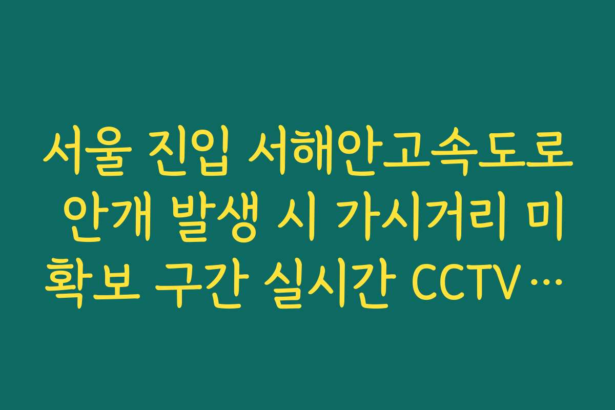 서울 진입 서해안고속도로 안개 발생 시 가시거리 미확보 구간 실시간 CCTV 확인