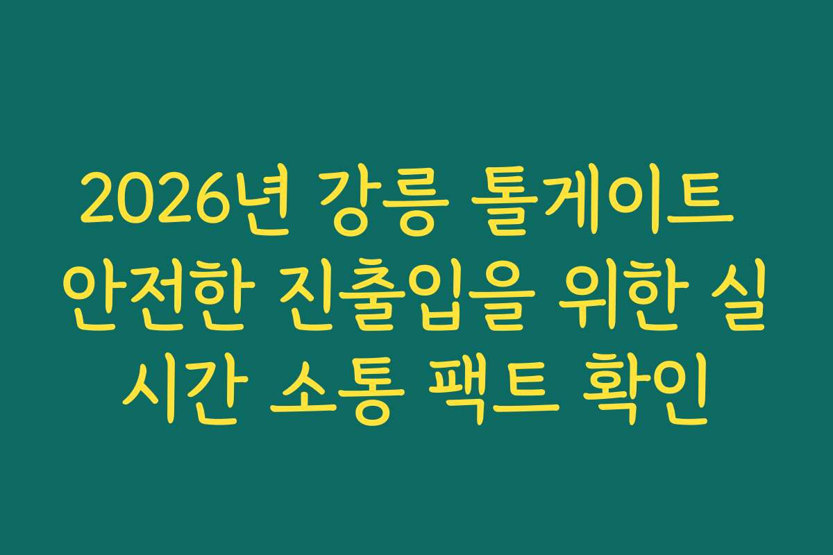 2026년 강릉 톨게이트 안전한 진출입을 위한 실시간 소통 팩트 확인
