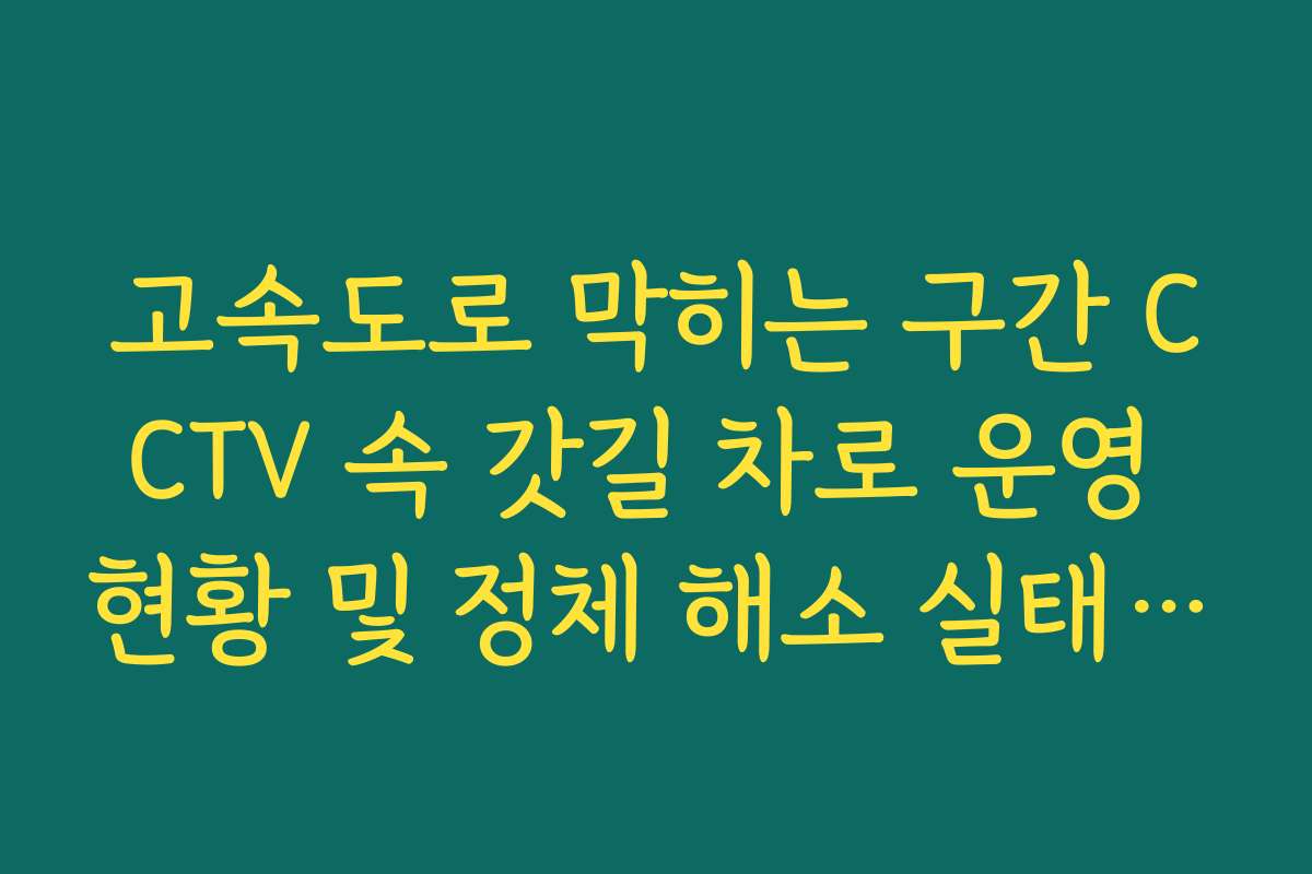 고속도로 막히는 구간 CCTV 속 갓길 차로 운영 현황 및 정체 해소 실태 확인