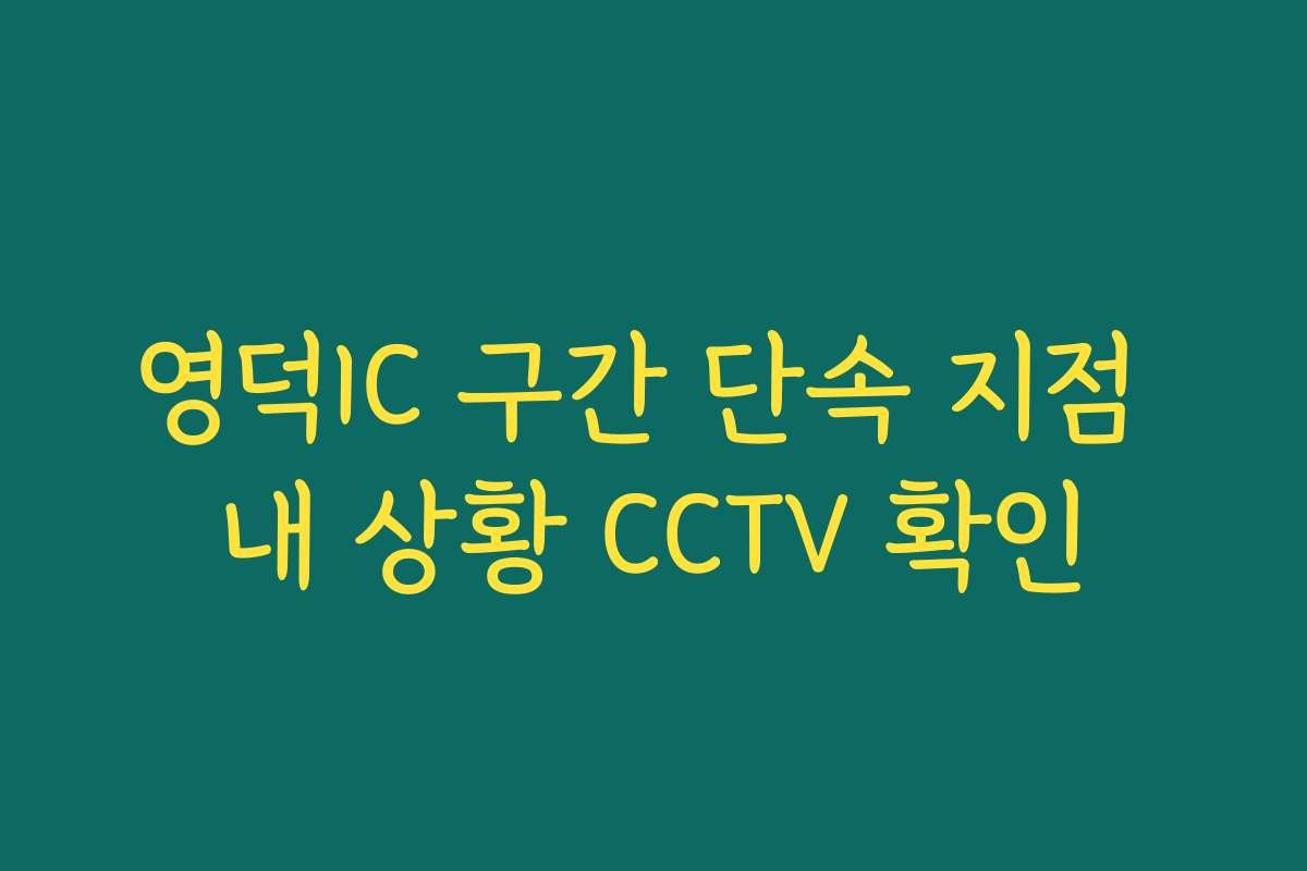 영덕IC 구간 단속 지점 내 상황 CCTV 확인