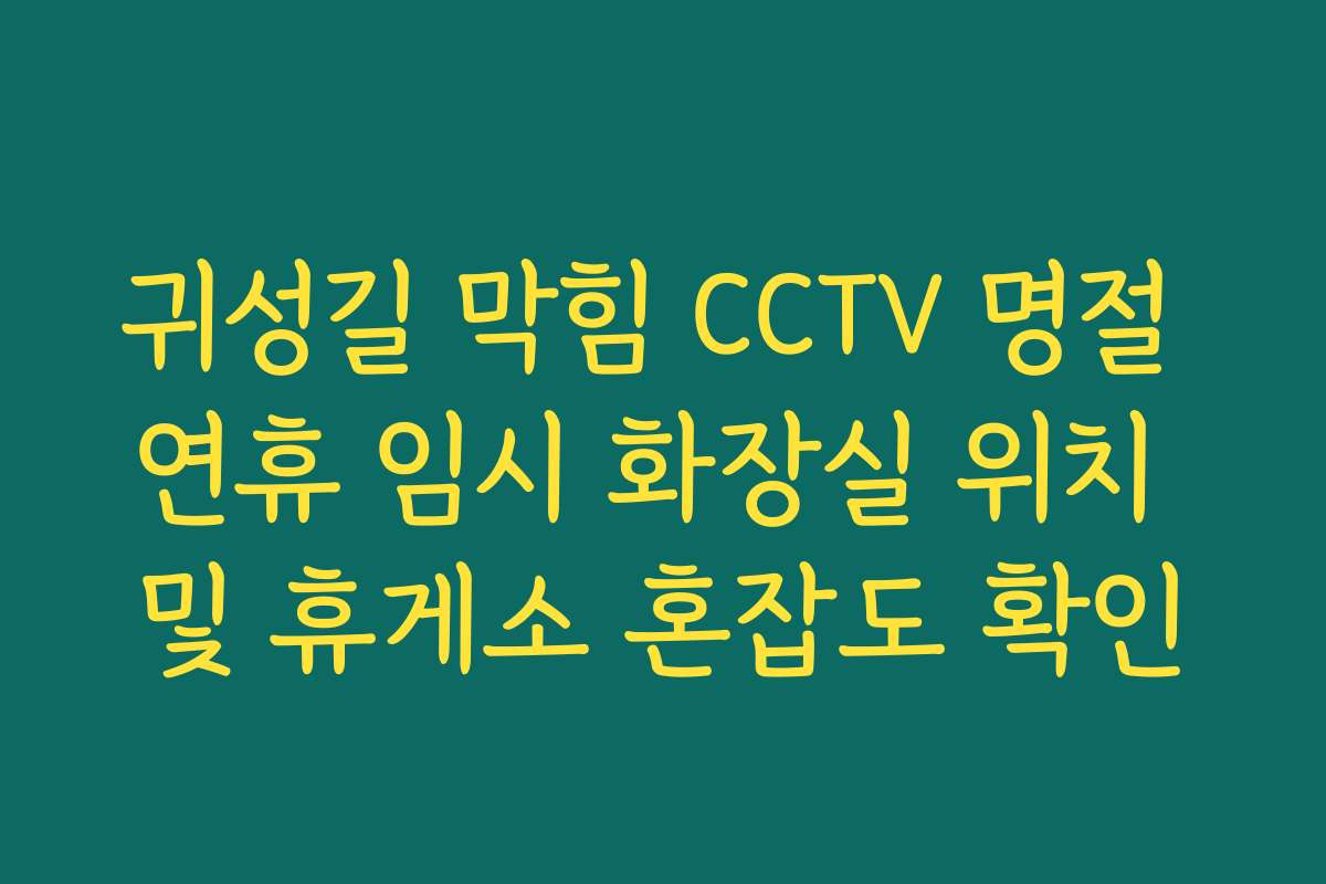 귀성길 막힘 CCTV 명절 연휴 임시 화장실 위치 및 휴게소 혼잡도 확인