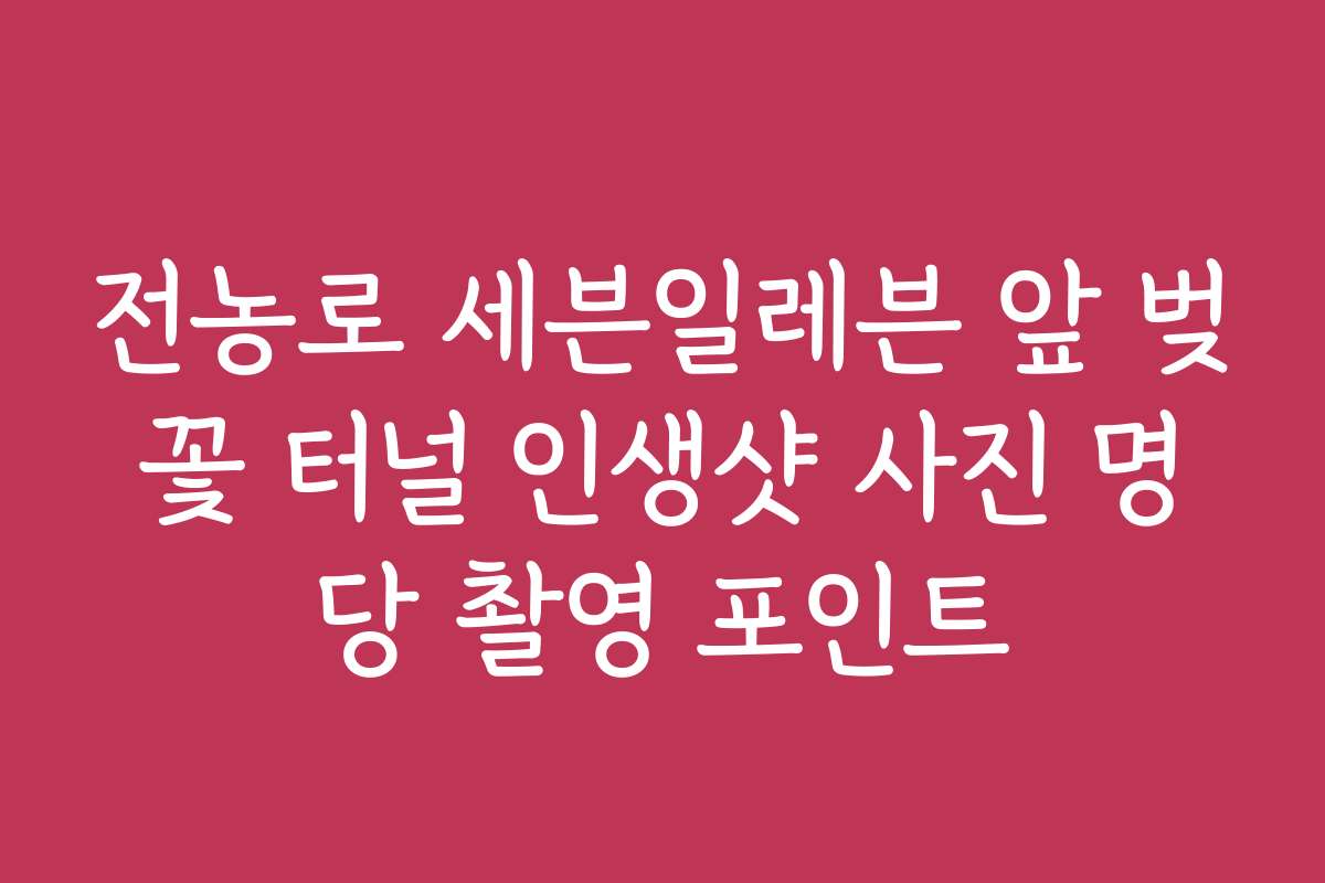 전농로 세븐일레븐 앞 벚꽃 터널 인생샷 사진 명당 촬영 포인트