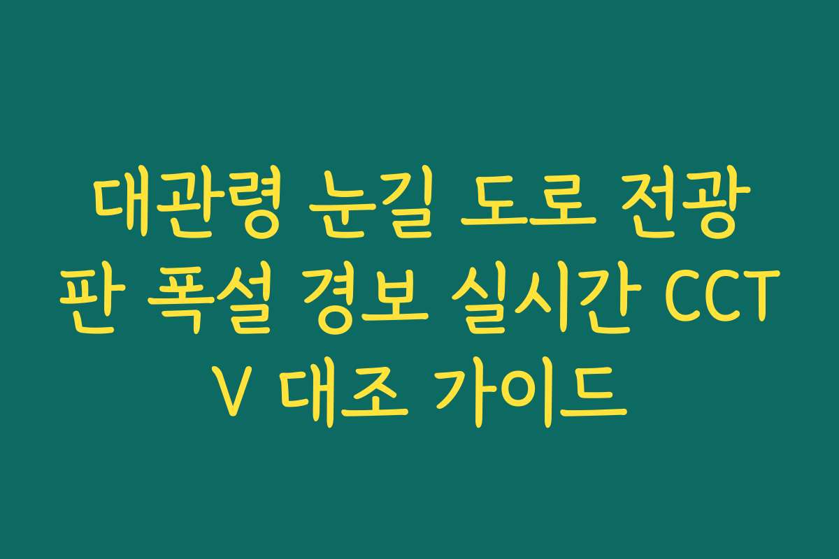 대관령 눈길 도로 전광판 폭설 경보 실시간 CCTV 대조 가이드