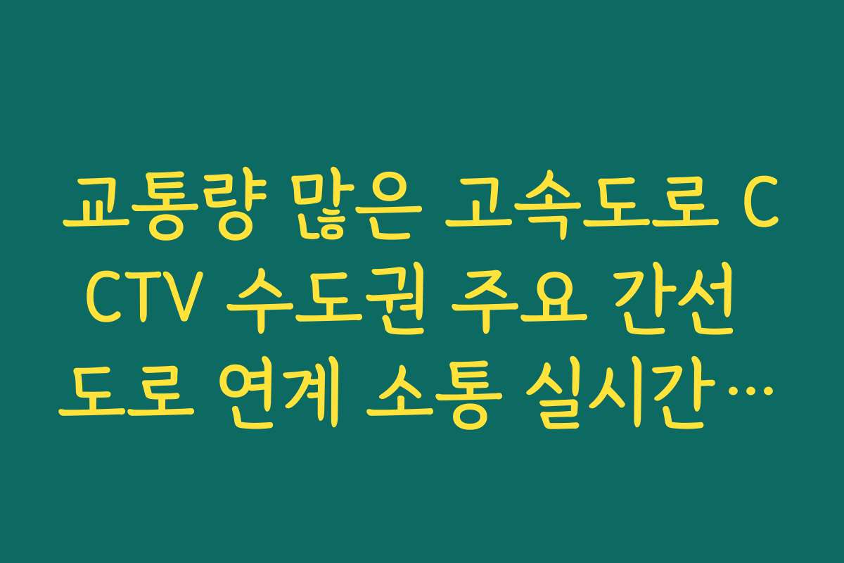 교통량 많은 고속도로 CCTV 수도권 주요 간선 도로 연계 소통 실시간 보기