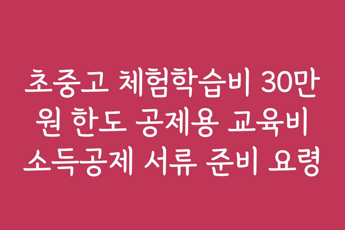 초중고 체험학습비 30만 원 한도 공제용 교육비 소득공제 서류 준비 요령