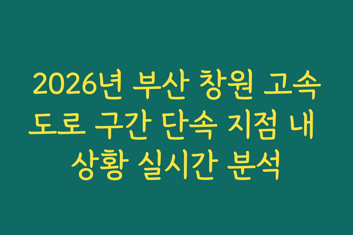 2026년 부산 창원 고속도로 구간 단속 지점 내 상황 실시간 분석
