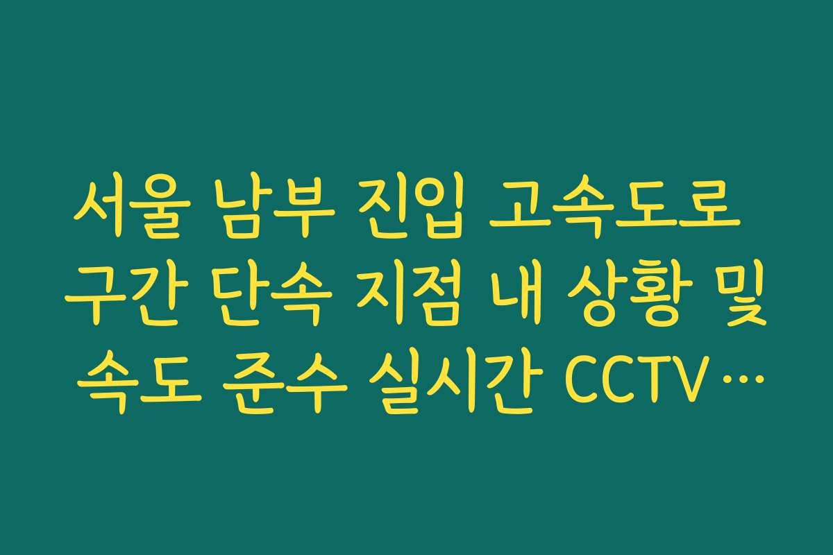 서울 남부 진입 고속도로 구간 단속 지점 내 상황 및 속도 준수 실시간 CCTV 확인