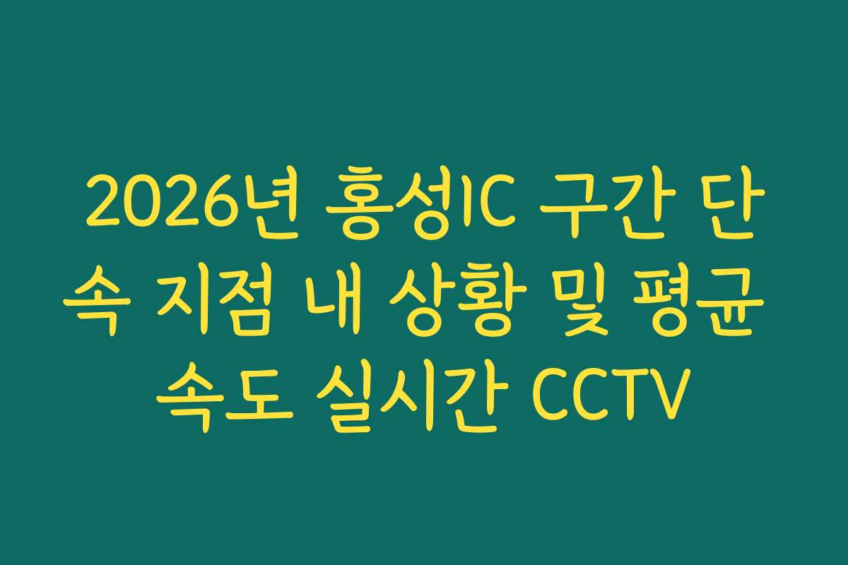 2026년 홍성IC 구간 단속 지점 내 상황 및 평균 속도 실시간 CCTV
