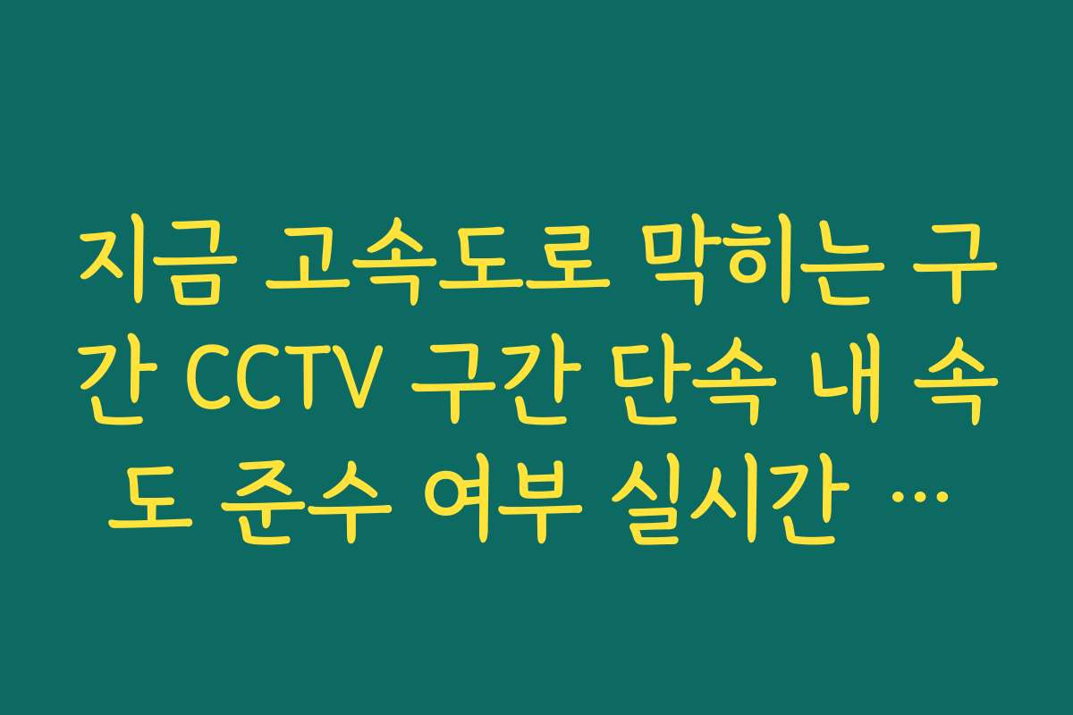 지금 고속도로 막히는 구간 CCTV 구간 단속 내 속도 준수 여부 실시간 확인