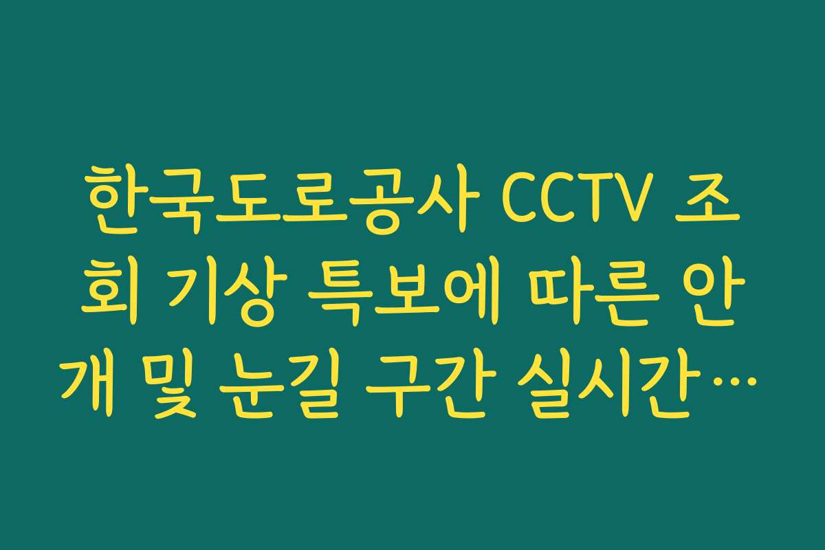 한국도로공사 CCTV 조회 기상 특보에 따른 안개 및 눈길 구간 실시간 체크