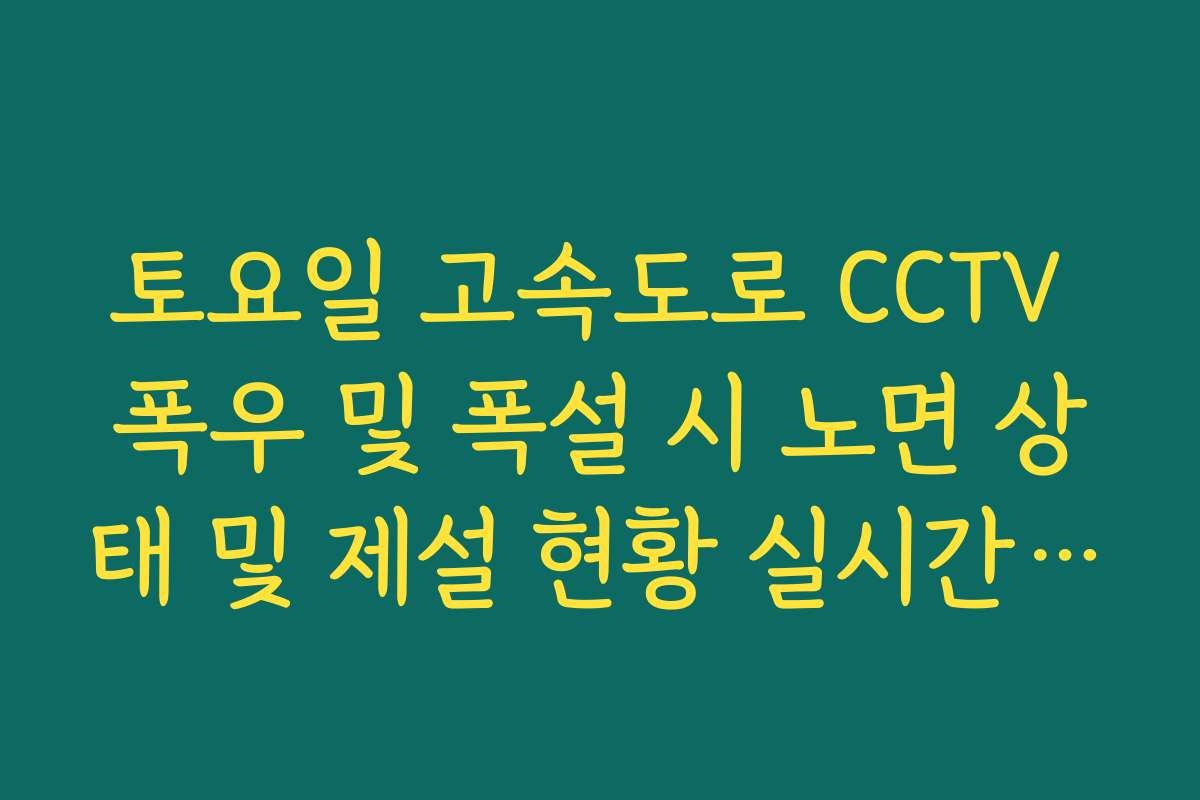 토요일 고속도로 CCTV 폭우 및 폭설 시 노면 상태 및 제설 현황 실시간 체크