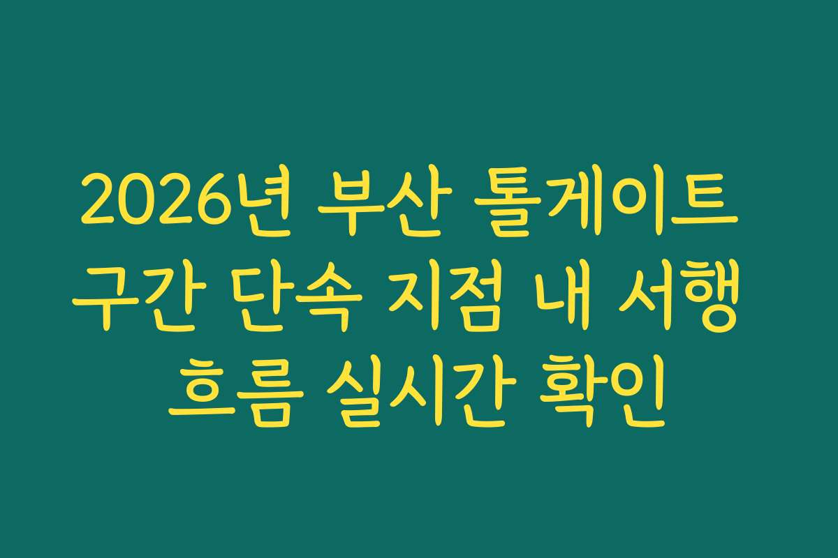 2026년 부산 톨게이트 구간 단속 지점 내 서행 흐름 실시간 확인