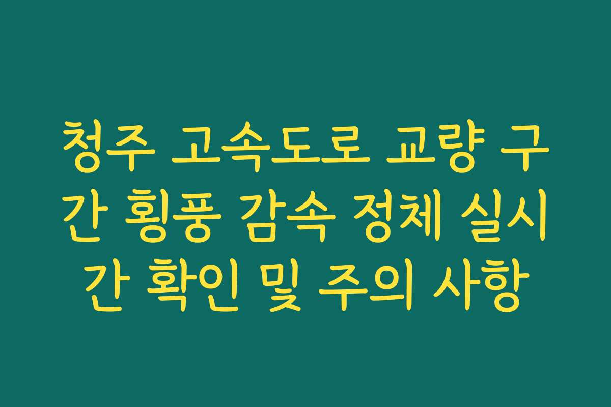청주 고속도로 교량 구간 횡풍 감속 정체 실시간 확인 및 주의 사항