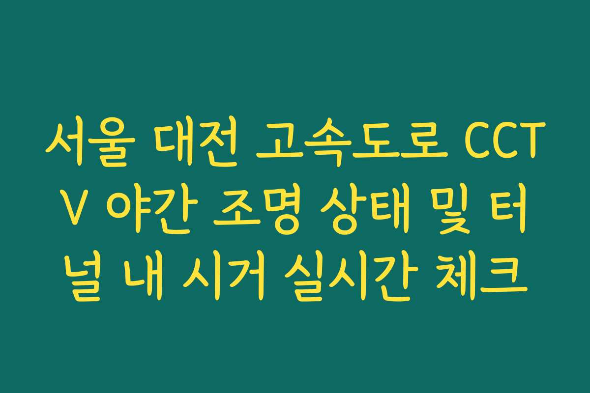 서울 대전 고속도로 CCTV 야간 조명 상태 및 터널 내 시거 실시간 체크