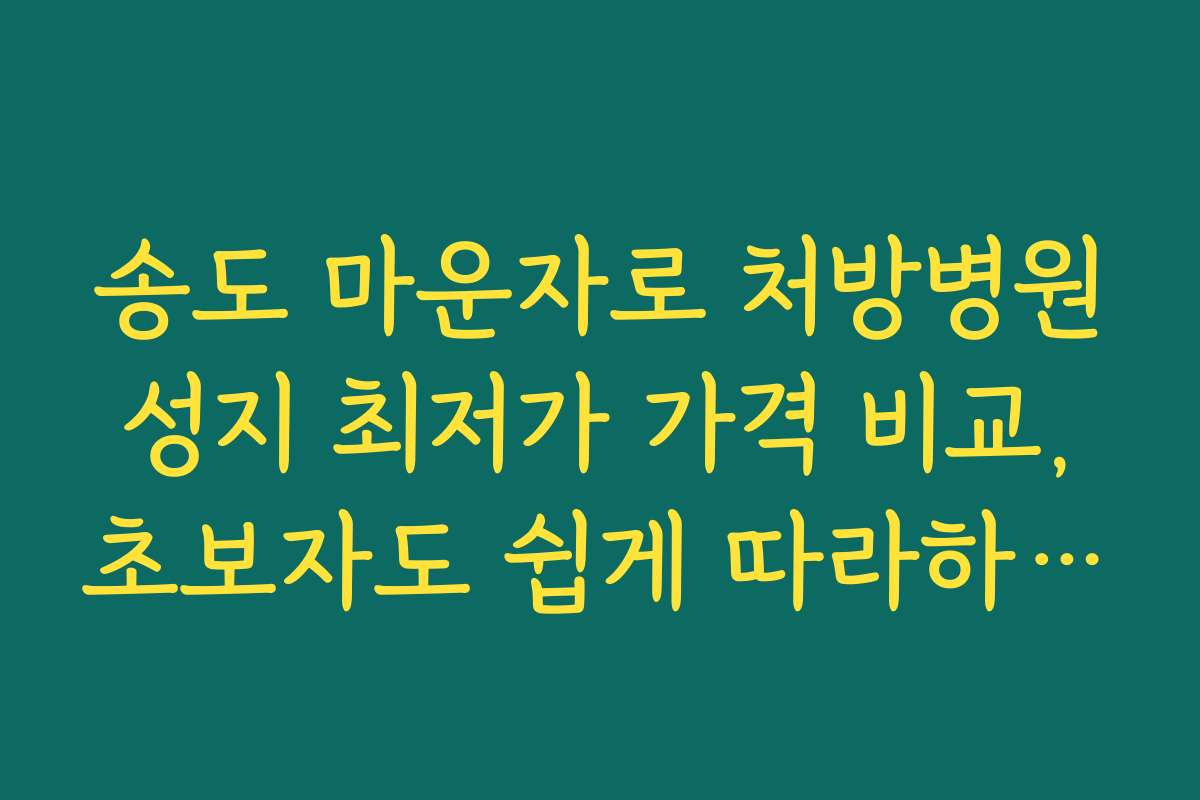 송도 마운자로 처방병원 성지 최저가 가격 비교, 초보자도 쉽게 따라하는 절차와 방법