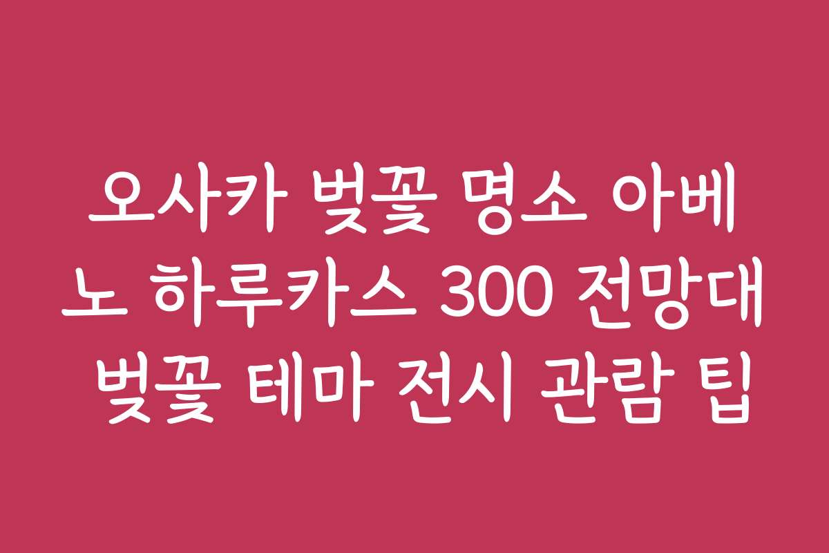 오사카 벚꽃 명소 아베노 하루카스 300 전망대 벚꽃 테마 전시 관람 팁