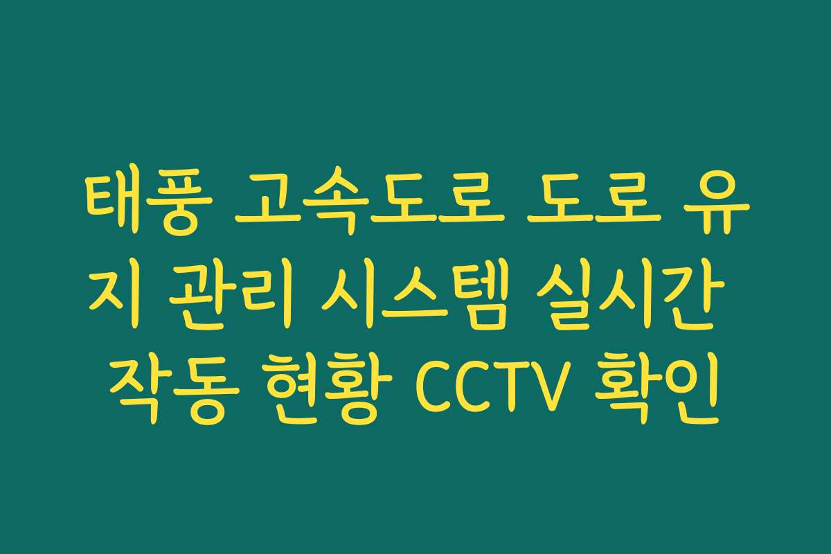 태풍 고속도로 도로 유지 관리 시스템 실시간 작동 현황 CCTV 확인