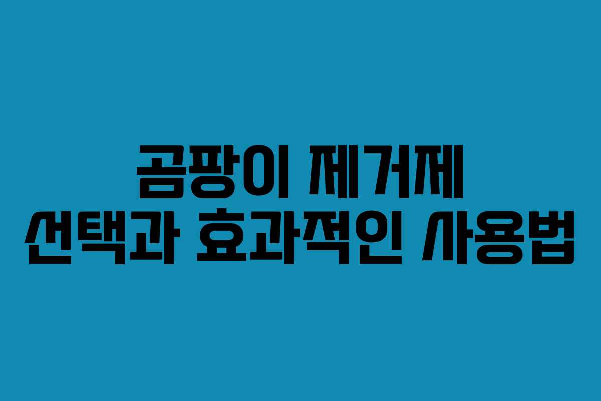 곰팡이 제거제 선택과 효과적인 사용법