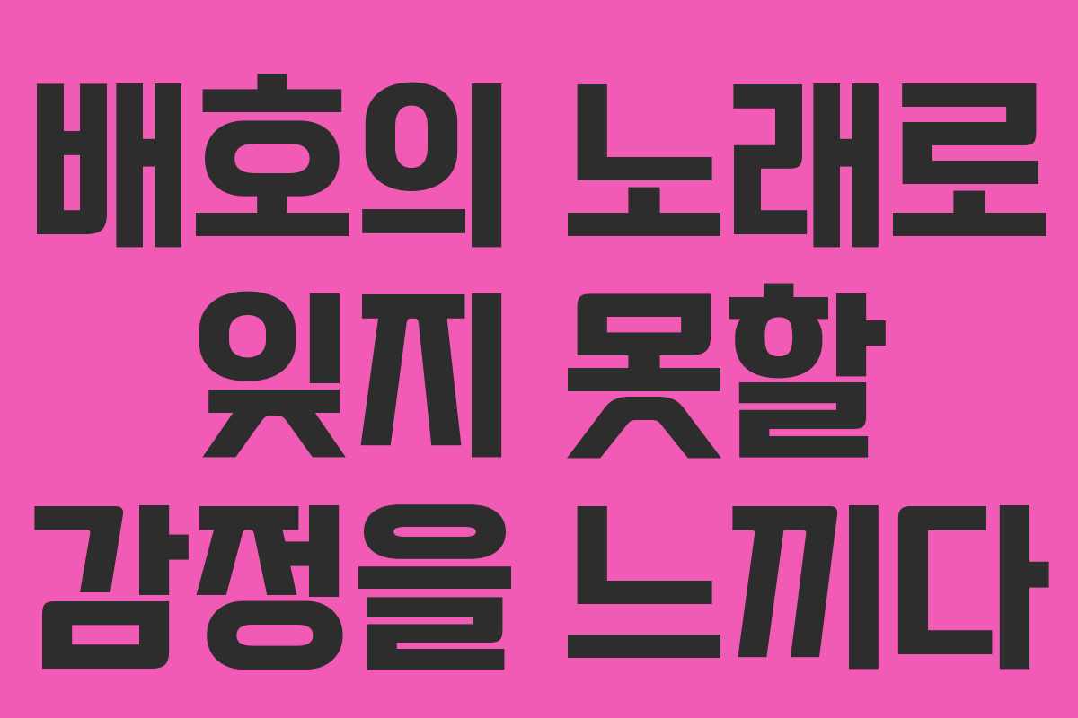 배호의 노래로 잊지 못할 감정을 느끼다