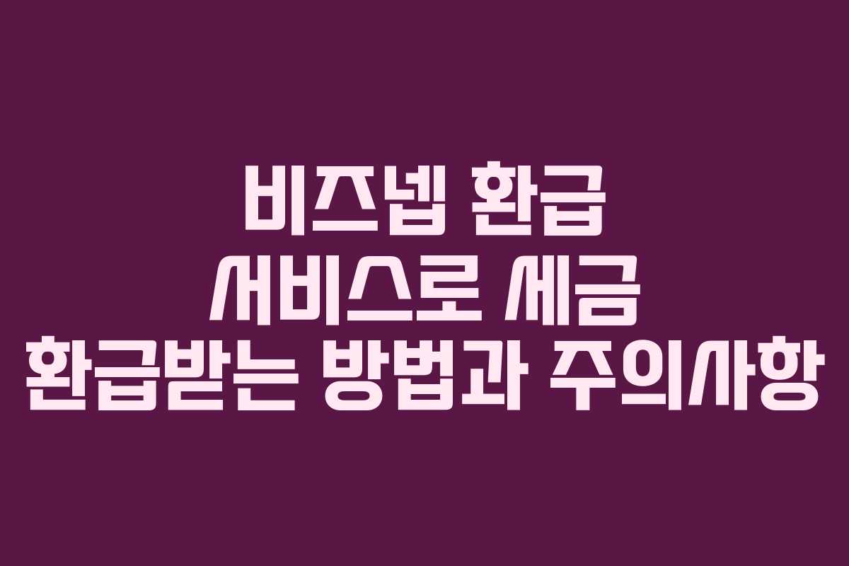 비즈넵 환급 서비스로 세금 환급받는 방법과 주의사항