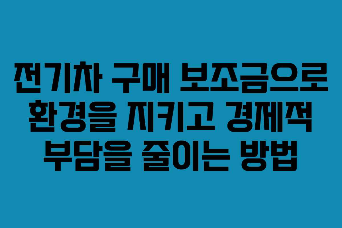 전기차 구매 보조금으로 환경을 지키고 경제적 부담을 줄이는 방법