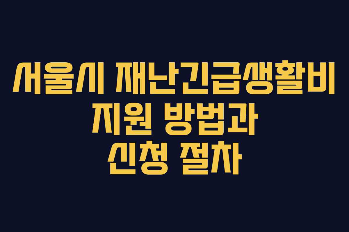 서울시 재난긴급생활비 지원 방법과 신청 절차