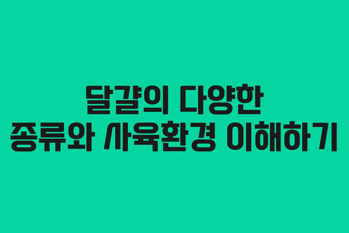 달걀의 다양한 종류와 사육환경 이해하기