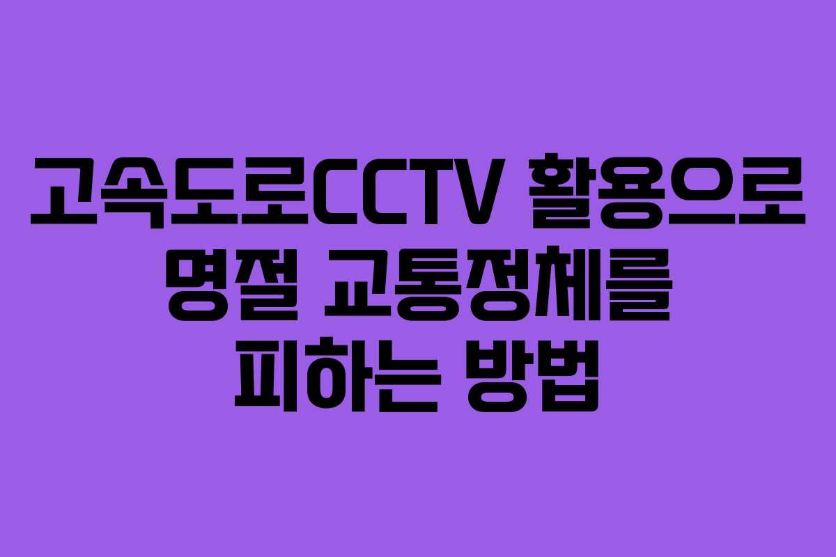고속도로CCTV 활용으로 명절 교통정체를 피하는 방법
