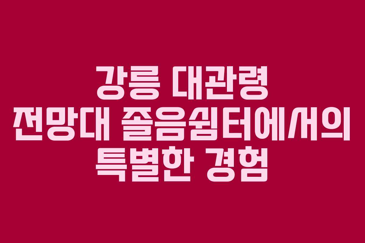 강릉 대관령 전망대 졸음쉼터에서의 특별한 경험