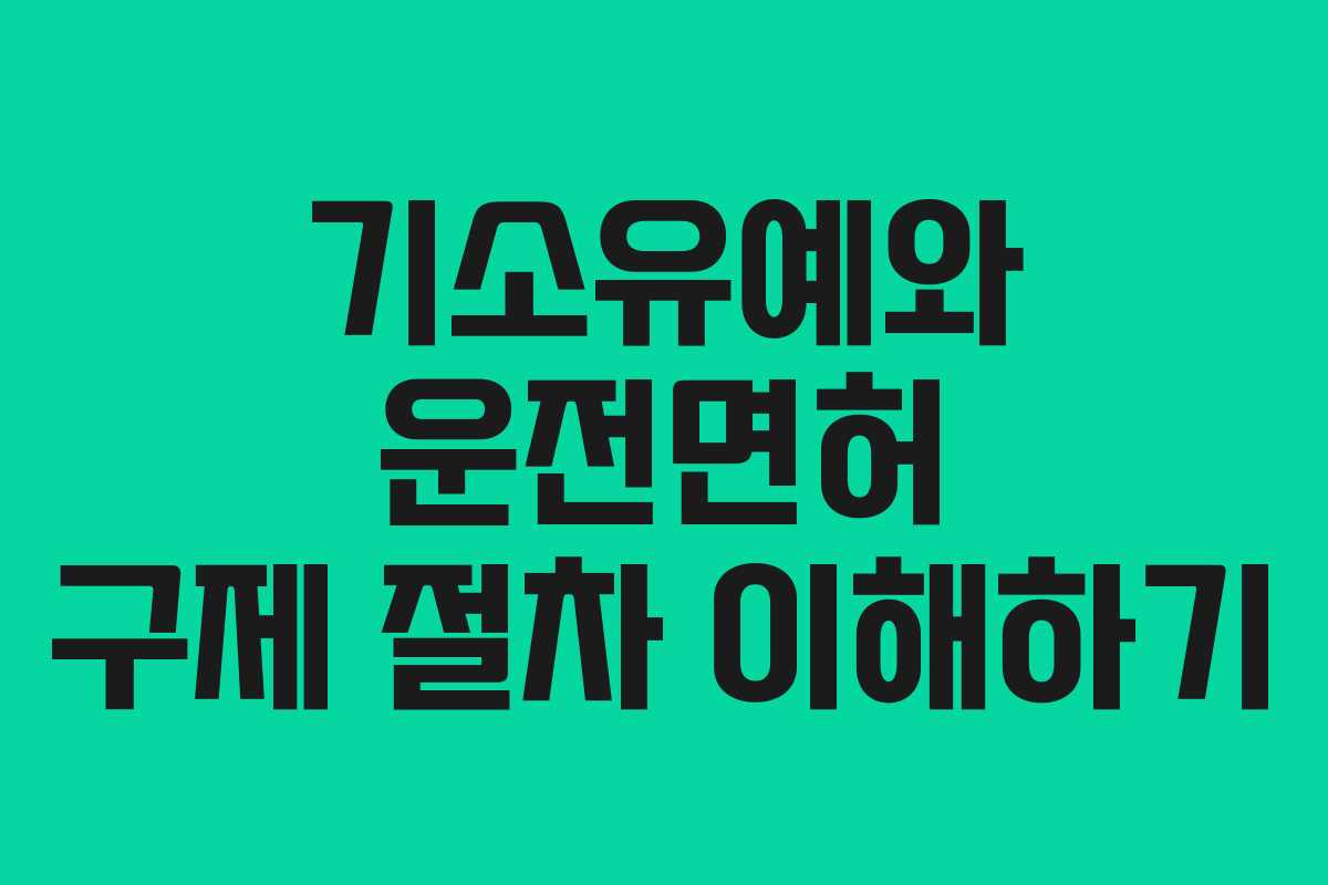 기소유예와 운전면허 구제 절차 이해하기