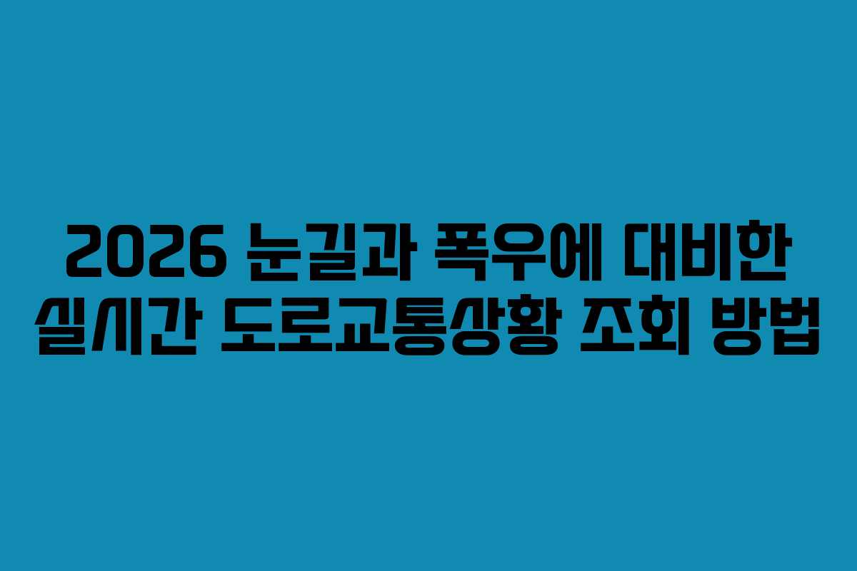 2026 눈길과 폭우에 대비한 실시간 도로교통상황 조회 방법