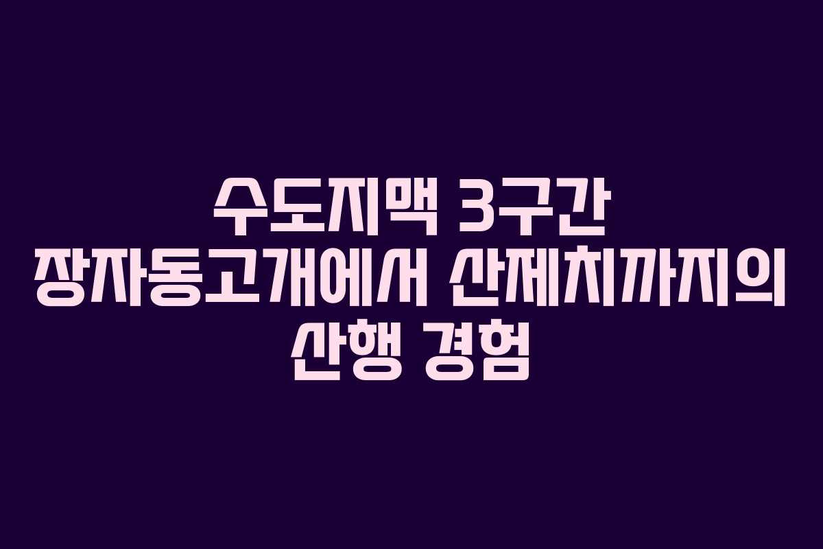 수도지맥 3구간 장자동고개에서 산제치까지의 산행 경험