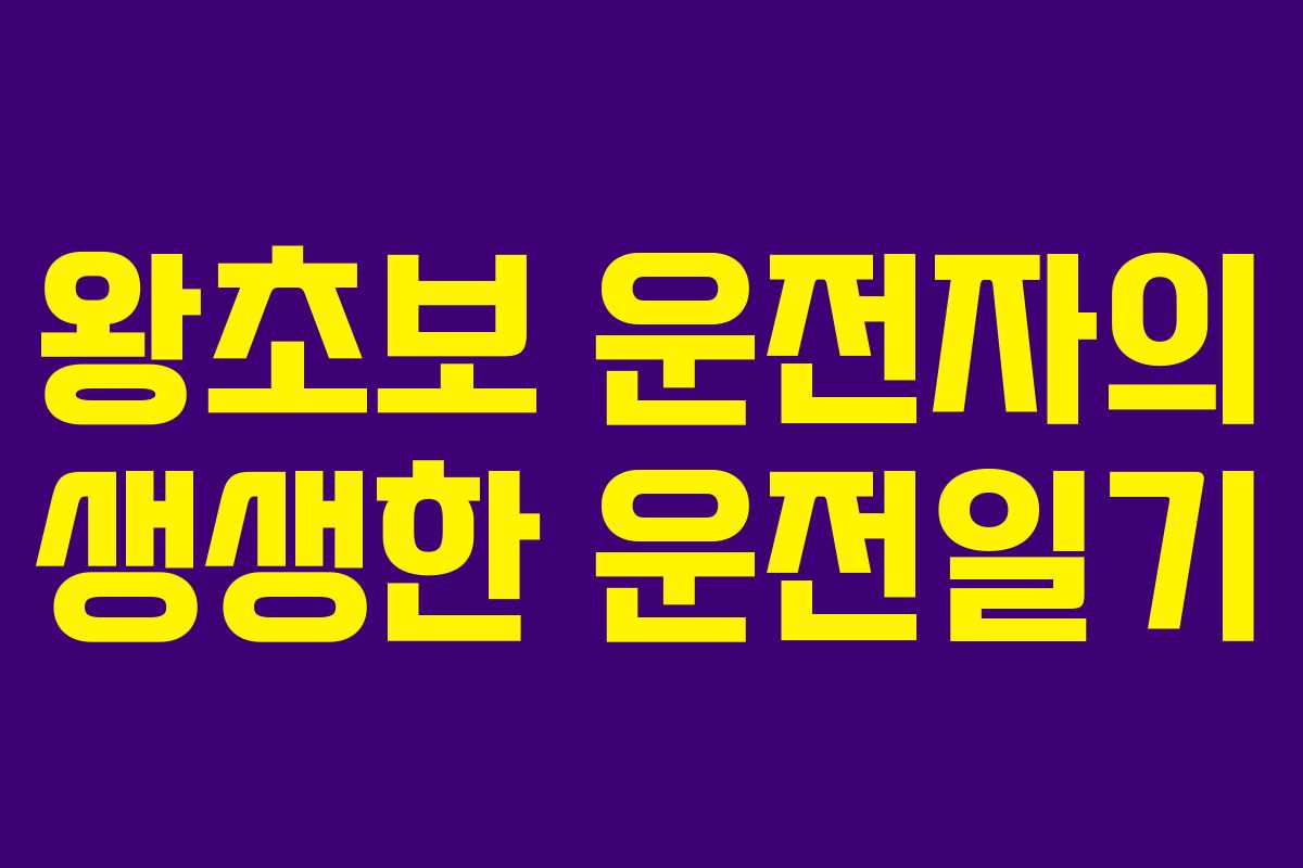 왕초보 운전자의 생생한 운전일기