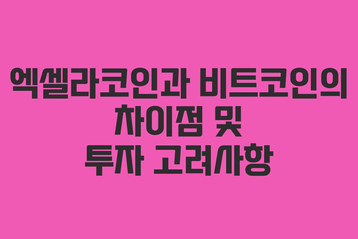 엑셀라코인과 비트코인의 차이점 및 투자 고려사항
