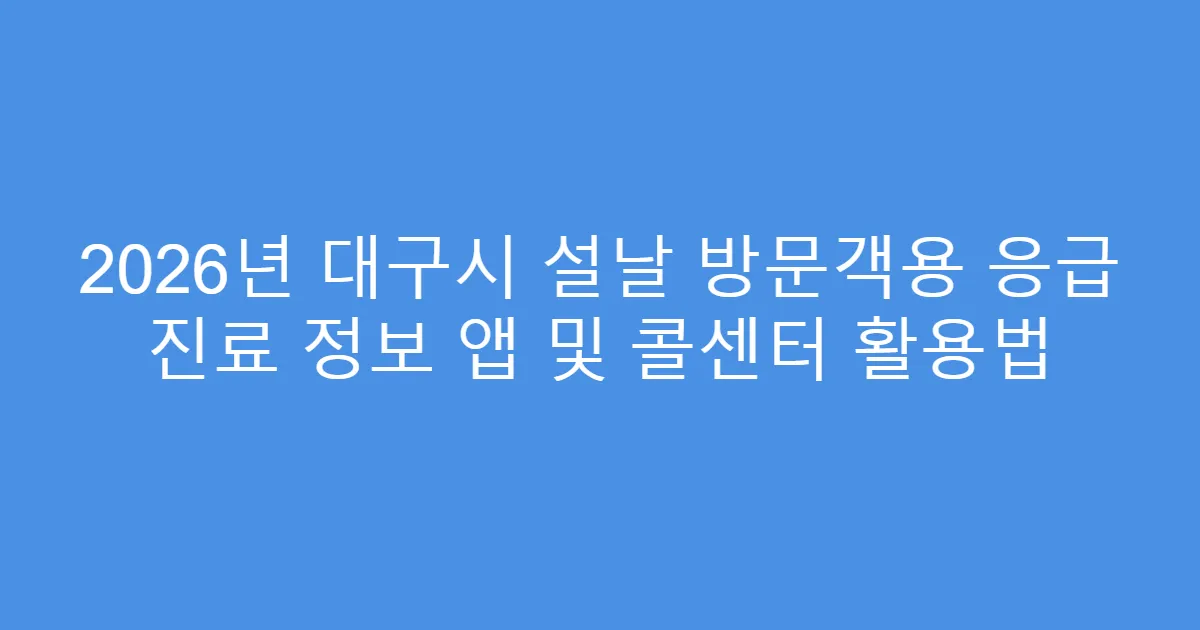 2026년 대구시 설날 방문객용 응급 진료 정보 앱 및 콜센터 활용법