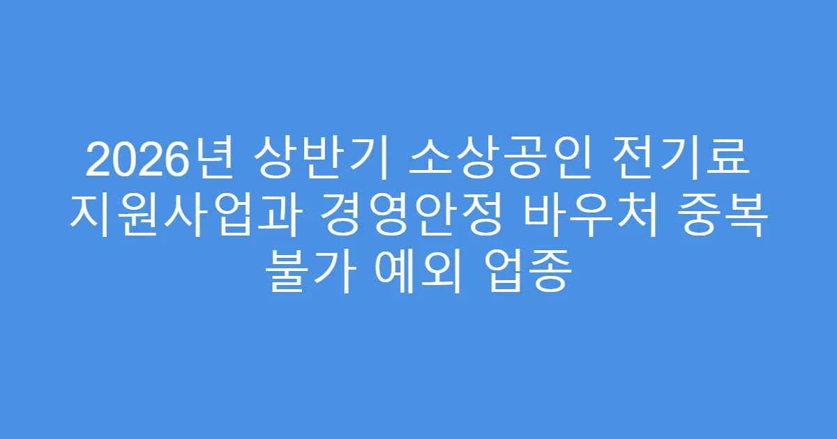 2026년 상반기 소상공인 전기료 지원사업과 경영안정 바우처 중복 불가 예외 업종