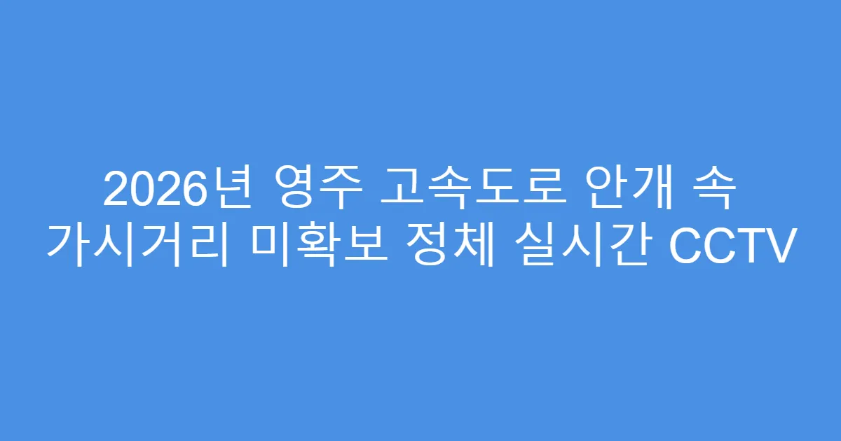 2026년 영주 고속도로 안개 속 가시거리 미확보 정체 실시간 CCTV