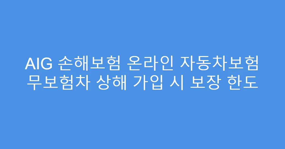 AIG 손해보험 온라인 자동차보험 무보험차 상해 가입 시 보장 한도