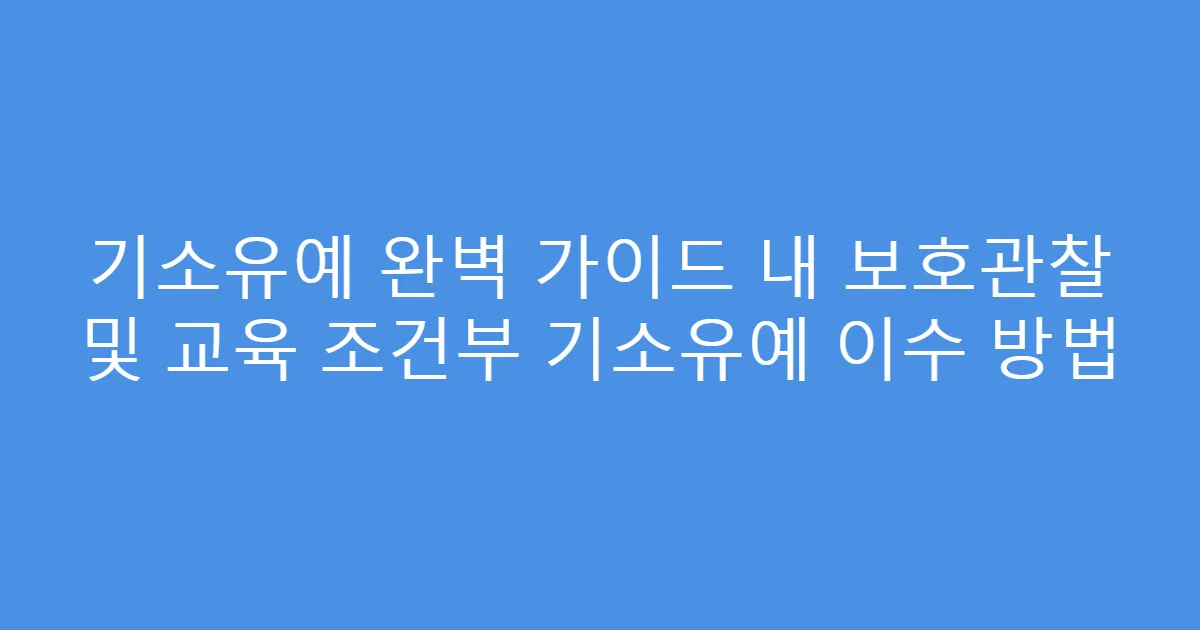 기소유예 완벽 가이드 내 보호관찰 및 교육 조건부 기소유예 이수 방법