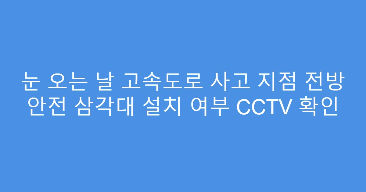 눈 오는 날 고속도로 사고 지점 전방 안전 삼각대 설치 여부 CCTV 확인