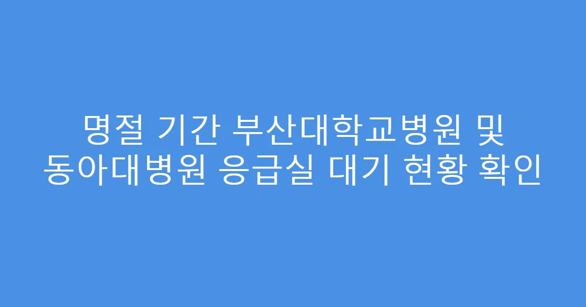 명절 기간 부산대학교병원 및 동아대병원 응급실 대기 현황 확인