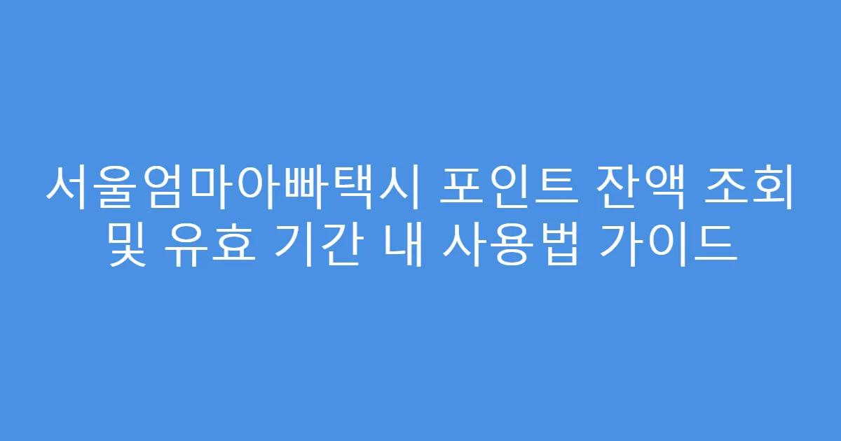 서울엄마아빠택시 포인트 잔액 조회 및 유효 기간 내 사용법 가이드
