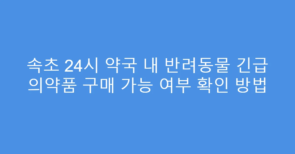 속초 24시 약국 내 반려동물 긴급 의약품 구매 가능 여부 확인 방법