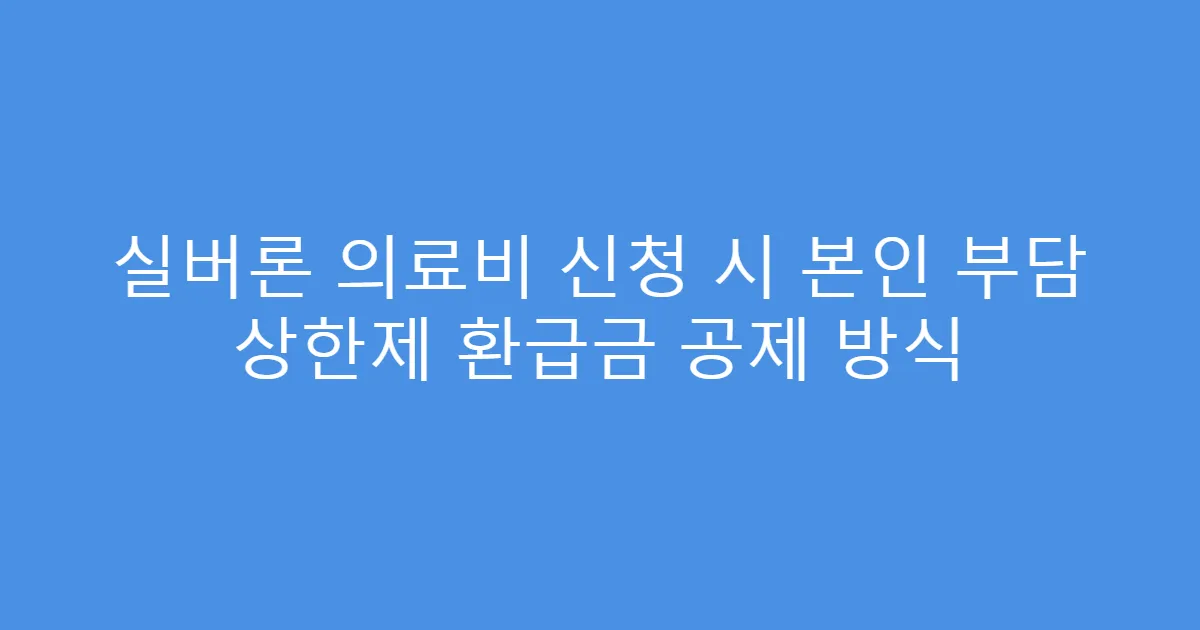 실버론 의료비 신청 시 본인 부담 상한제 환급금 공제 방식