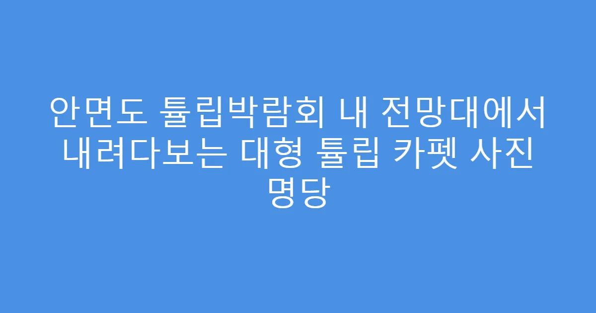 안면도 튤립박람회 내 전망대에서 내려다보는 대형 튤립 카펫 사진 명당
