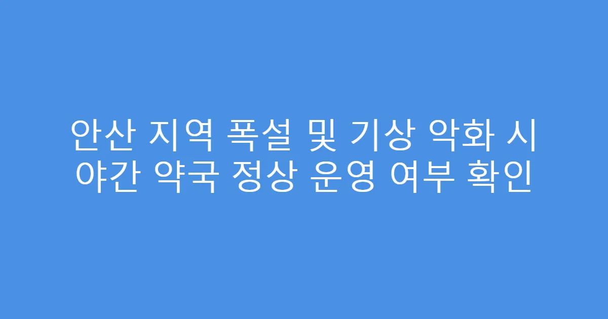 안산 지역 폭설 및 기상 악화 시 야간 약국 정상 운영 여부 확인