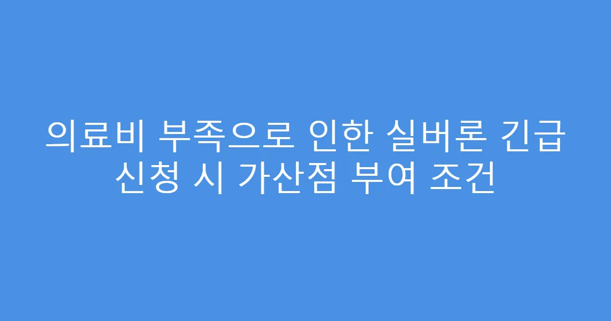 의료비 부족으로 인한 실버론 긴급 신청 시 가산점 부여 조건