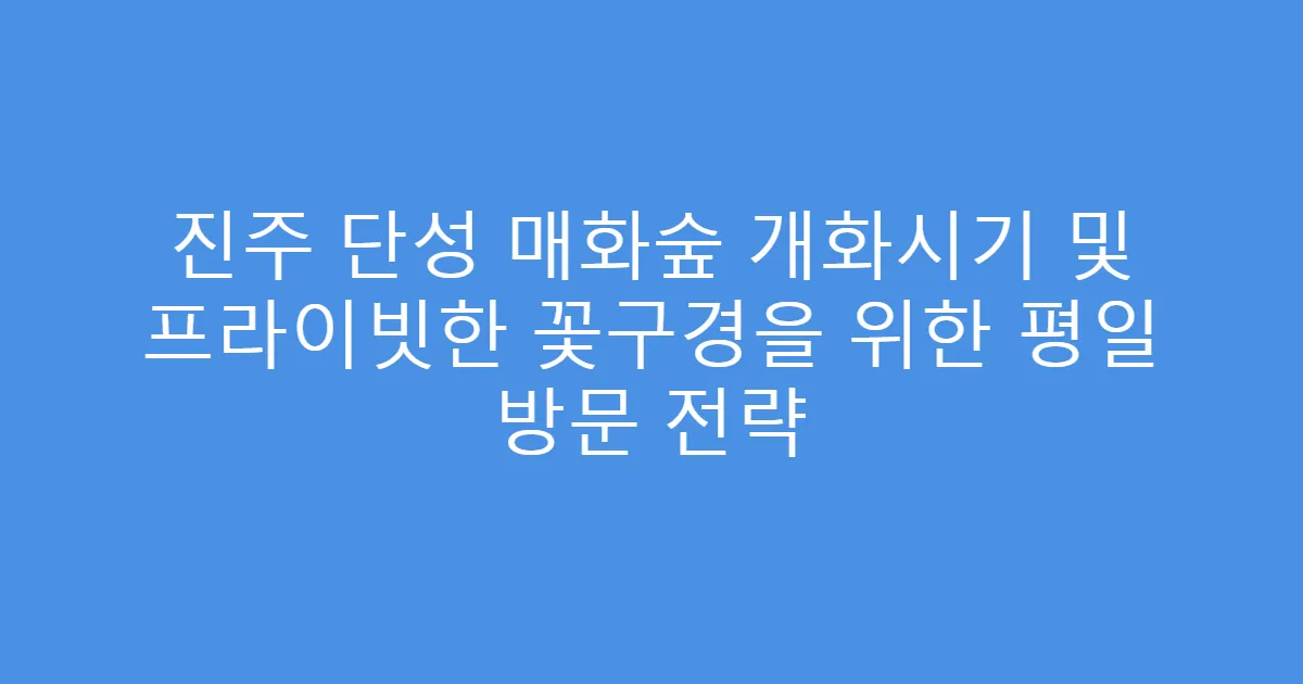 진주 단성 매화숲 개화시기 및 프라이빗한 꽃구경을 위한 평일 방문 전략